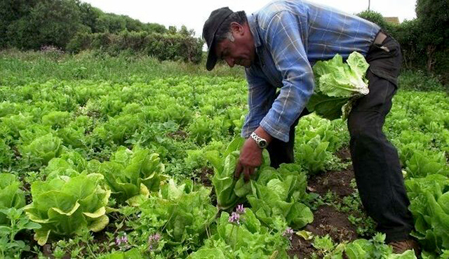080425 Agricultor