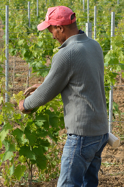 080425 Agricultor 1