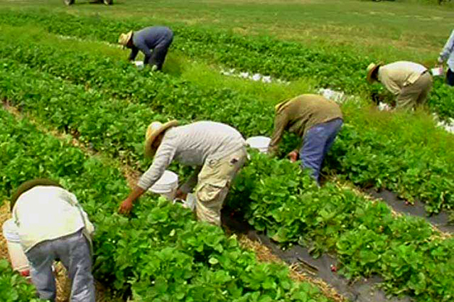 UGT FICA pide prudencia y una respuesta clara, proporcionada, firme y unánime de la UE ante el posible impacto de los aranceles en el sector agroalimentario español