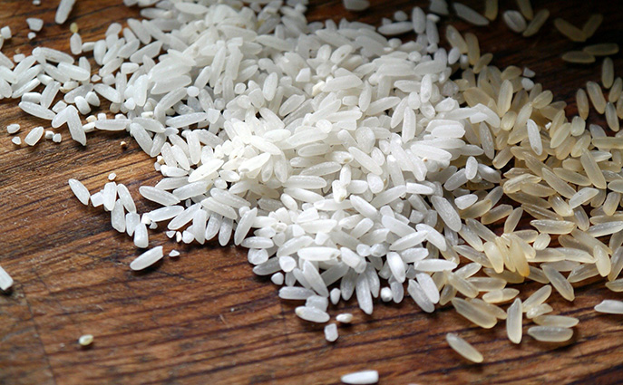 Constituida la comisión negociadora del Convenio Estatal de Industrias del Arroz