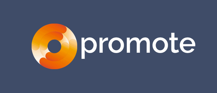 El pasado 6 de septiembre de 2021, se celebró la sexta reunión del comité de dirección del proyecto PROMOTE