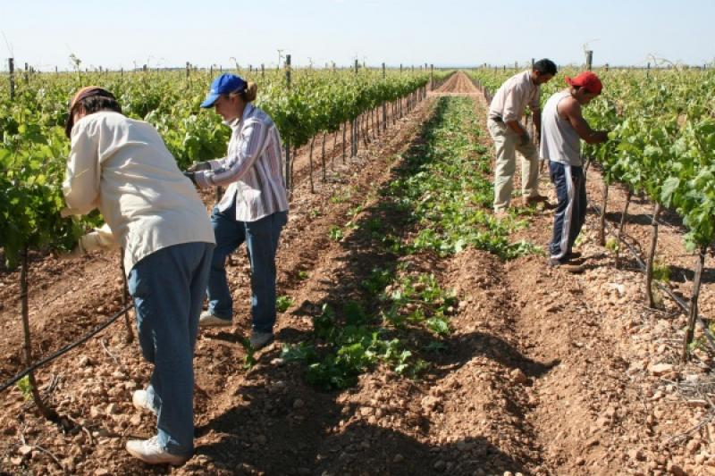 El paro en el sector agropecuario cae un 20,14% respecto a junio de 2021